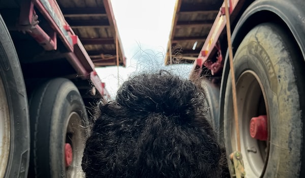 广州到珠海汽车托运