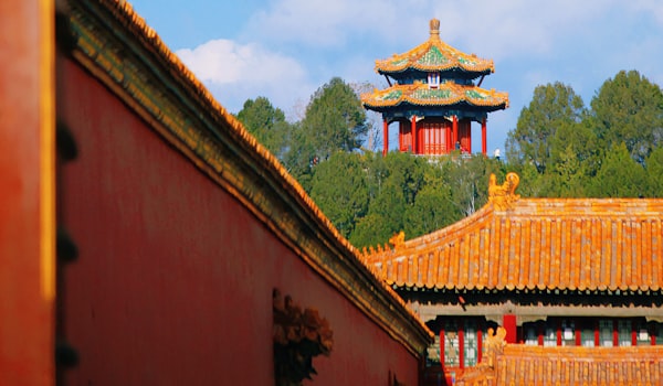 北京到天津小汽车托运公司