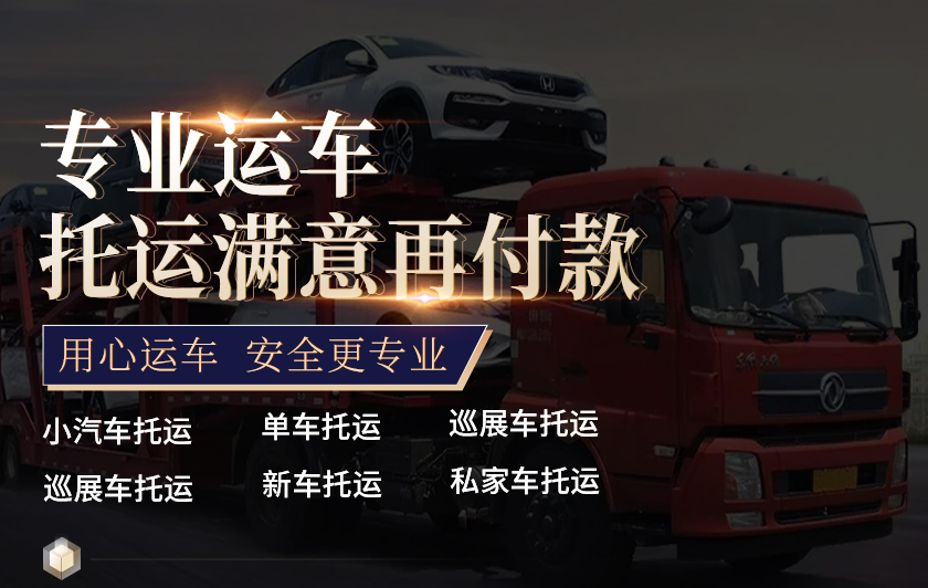 《中振个人信息保护政策》